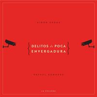 Delitos de poca envergadura