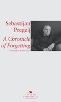   A Chronicle of Forgetting