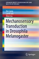   Mechanosensory Transduction in Drosophila Melanogaster