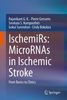   IschemiRs: MicroRNAs in Ischemic Stroke