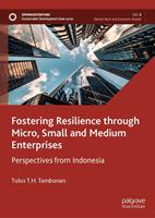   Fostering Resilience through Micro, Small and Medium Enterprises