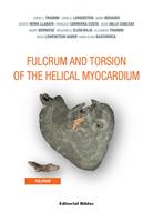  Fulcrum and Torsion of the Helical Myocardium