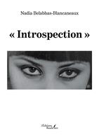   &laquo; Introspection &raquo;
