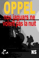 Nos jaguars ne volent pas la nuit