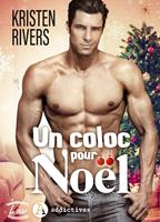   Un coloc pour Noël