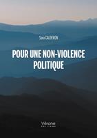   Pour une non-violence politique