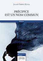 Précipice est un nom commun
