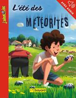   L'&eacute;t&eacute; des m&eacute;t&eacute;orites