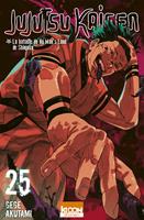   Jujutsu Kaisen T25