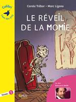   Le r&eacute;veil de la momie