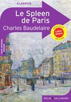   Le Spleen de Paris