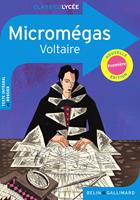   Micromégas