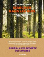   Marcher dans les bois