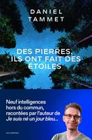   Des pierres, ils ont fait des étoiles