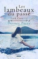   Les lambeaux du passé