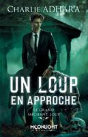   Un loup en approche