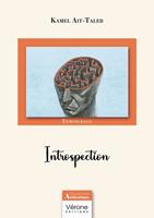   Introspection