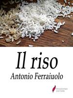   Il riso