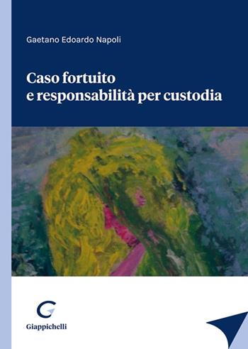 Caso fortuito e responsabilità per custodia - Gaetano Edoardo Napoli - Libro Giappichelli 2023 | Libraccio.it