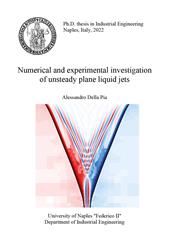 Numerical and experimental investigation of unsteady plane liquid jets