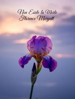   Non esiste la morte (tradotto)