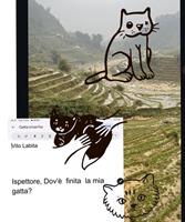 Ispettore, Dov'è finita la mia gatta?