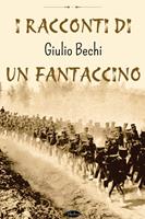   I racconti di un fantaccino