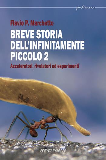 Breve storia dell'infinitamente piccolo. Vol. 2 - Flavio P. Marchetto - Libro Scienza Express 2023, Parliamone | Libraccio.it