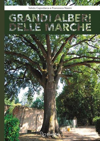 Grandi alberi delle Marche. Con Libro - Valido Capodarca, Francesco Nasini - Libro Giaconi Editore 2024 | Libraccio.it