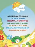  La tartaruga Gelsomina