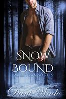   Snow Bound