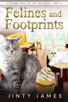   Felines and Footprints