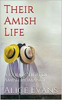   Their Amish Life