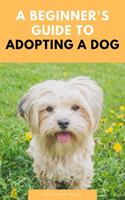   A Beginner’s Guide To Adopting A Dog