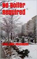   No Boiler Required