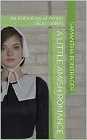   A Little Amish Romance