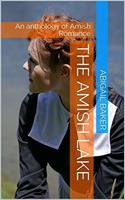   The Amish Lake