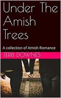   Under The Amish Trees