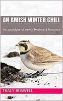   An Amish Winter Chill