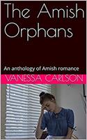   The Amish Orphans