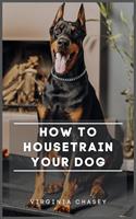 How To Housetrain Your Dog