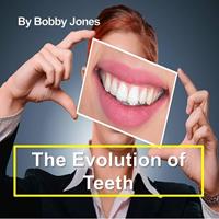   The Evolution of Teeth