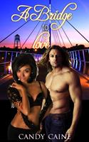   A Bridge to Love