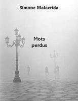   Mots perdus