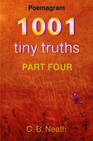   1001 Tiny Truths