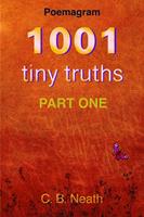   1001 Tiny Truths
