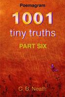   1001 Tiny Truths