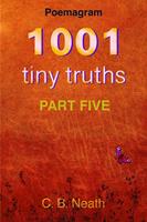   1001 Tiny Truths