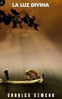   La Luz Divina