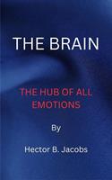   The Brain
